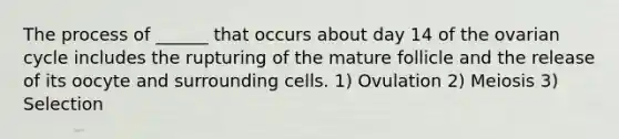 The process of ______ that occurs about day 14 of the ovarian cycle includes the rupturing of the mature follicle and the release of its oocyte and surrounding cells. 1) Ovulation 2) Meiosis 3) Selection