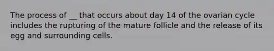 The process of __ that occurs about day 14 of the ovarian cycle includes the rupturing of the mature follicle and the release of its egg and surrounding cells.