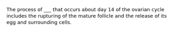The process of ___ that occurs about day 14 of the ovarian cycle includes the rupturing of the mature follicle and the release of its egg and surrounding cells.