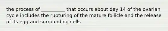 the process of __________ that occurs about day 14 of the ovarian cycle includes the rupturing of the mature follicle and the release of its egg and surrounding cells