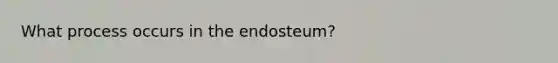 What process occurs in the endosteum?