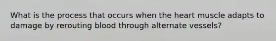 What is the process that occurs when the heart muscle adapts to damage by rerouting blood through alternate vessels?