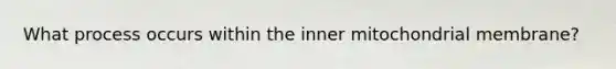 What process occurs within the inner mitochondrial membrane?