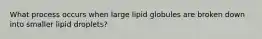 What process occurs when large lipid globules are broken down into smaller lipid droplets?