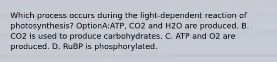 Which process occurs during the light-dependent reaction of photosynthesis? OptionA:ATP, CO2 and H2O are produced. B. CO2 is used to produce carbohydrates. C. ATP and O2 are produced. D. RuBP is phosphorylated.