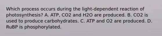 Which process occurs during the light-dependent reaction of photosynthesis? A. ATP, CO2 and H2O are produced. B. CO2 is used to produce carbohydrates. C. ATP and O2 are produced. D. RuBP is phosphorylated.