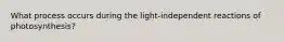 What process occurs during the light-independent reactions of photosynthesis?