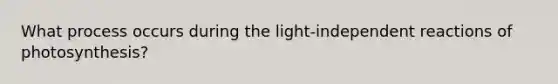 What process occurs during the light-independent reactions of photosynthesis?