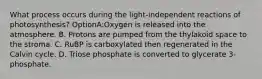 What process occurs during the light-independent reactions of photosynthesis? OptionA:Oxygen is released into the atmosphere. B. Protons are pumped from the thylakoid space to the stroma. C. RuBP is carboxylated then regenerated in the Calvin cycle. D. Triose phosphate is converted to glycerate 3-phosphate.