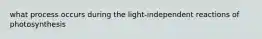 what process occurs during the light-independent reactions of photosynthesis