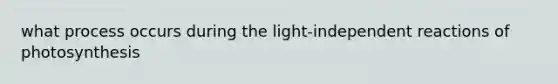 what process occurs during the light-independent reactions of photosynthesis