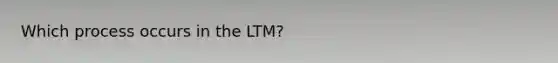 Which process occurs in the LTM?