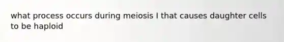 what process occurs during meiosis I that causes daughter cells to be haploid