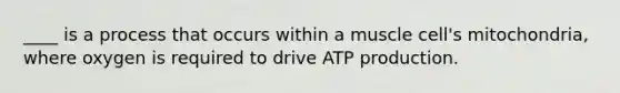 ____ is a process that occurs within a muscle cell's mitochondria, where oxygen is required to drive ATP production.