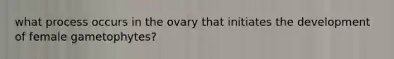 what process occurs in the ovary that initiates the development of female gametophytes?