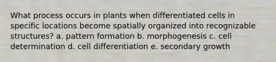 What process occurs in plants when differentiated cells in specific locations become spatially organized into recognizable structures? a. pattern formation b. morphogenesis c. cell determination d. cell differentiation e. secondary growth