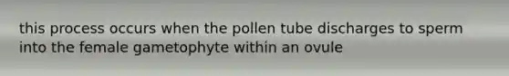 this process occurs when the pollen tube discharges to sperm into the female gametophyte within an ovule