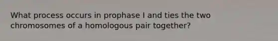 What process occurs in prophase I and ties the two chromosomes of a homologous pair together?