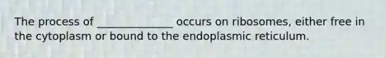 The process of ______________ occurs on ribosomes, either free in the cytoplasm or bound to the endoplasmic reticulum.