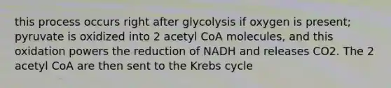 this process occurs right after glycolysis if oxygen is present; pyruvate is oxidized into 2 acetyl CoA molecules, and this oxidation powers the reduction of NADH and releases CO2. The 2 acetyl CoA are then sent to the Krebs cycle