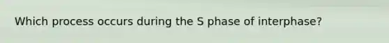 Which process occurs during the S phase of interphase?