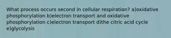 What process occurs second in cellular respiration? a)<a href='https://www.questionai.com/knowledge/kFazUb9IwO-oxidative-phosphorylation' class='anchor-knowledge'>oxidative phosphorylation</a> b)electron transport and oxidative phosphorylation c)electron transport d)the citric acid cycle e)glycolysis