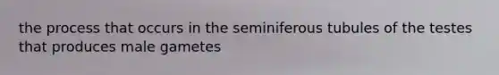 the process that occurs in the seminiferous tubules of the testes that produces male gametes