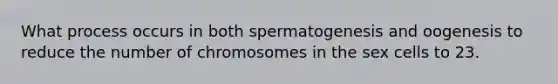 What process occurs in both spermatogenesis and oogenesis to reduce the number of chromosomes in the sex cells to 23.