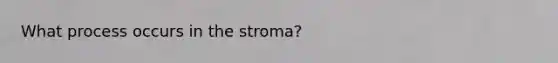 What process occurs in the stroma?