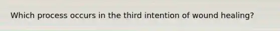Which process occurs in the third intention of wound healing?
