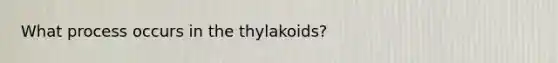 What process occurs in the thylakoids?