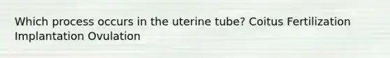 Which process occurs in the uterine tube? Coitus Fertilization Implantation Ovulation