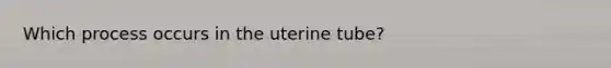 Which process occurs in the uterine tube?