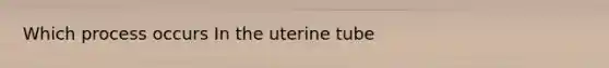 Which process occurs In the uterine tube