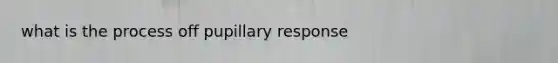 what is the process off pupillary response