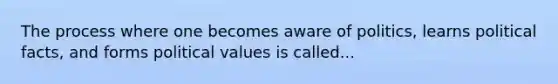 The process where one becomes aware of politics, learns political facts, and forms political values is called...