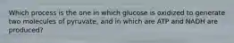 Which process is the one in which glucose is oxidized to generate two molecules of pyruvate, and in which are ATP and NADH are produced?