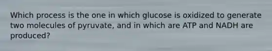 Which process is the one in which glucose is oxidized to generate two molecules of pyruvate, and in which are ATP and NADH are produced?