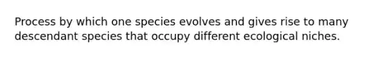 Process by which one species evolves and gives rise to many descendant species that occupy different ecological niches.