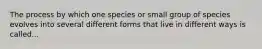 The process by which one species or small group of species evolves into several different forms that live in different ways is called...