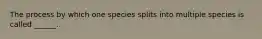 The process by which one species splits into multiple species is called ______.