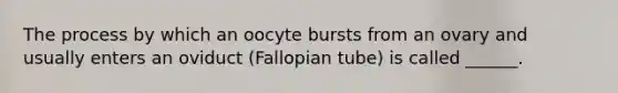 The process by which an oocyte bursts from an ovary and usually enters an oviduct (Fallopian tube) is called ______.