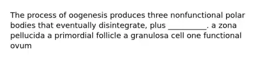 The process of oogenesis produces three nonfunctional polar bodies that eventually disintegrate, plus __________. a zona pellucida a primordial follicle a granulosa cell one functional ovum