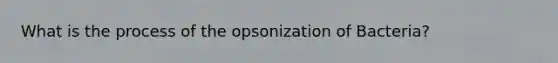 What is the process of the opsonization of Bacteria?