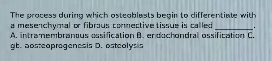 The process during which osteoblasts begin to differentiate with a mesenchymal or fibrous connective tissue is called __________. A. intramembranous ossification B. endochondral ossification C. gb. aosteoprogenesis D. osteolysis