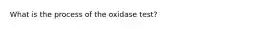 What is the process of the oxidase test?