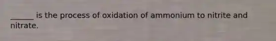 ______ is the process of oxidation of ammonium to nitrite and nitrate.