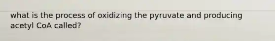 what is the process of oxidizing the pyruvate and producing acetyl CoA called?