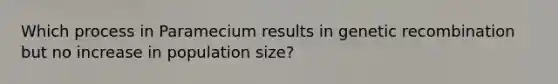 Which process in Paramecium results in genetic recombination but no increase in population size?