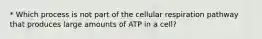 * Which process is not part of the cellular respiration pathway that produces large amounts of ATP in a cell?